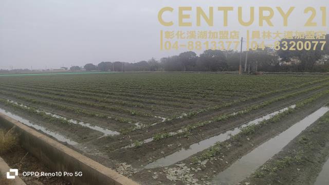 福興農地-5