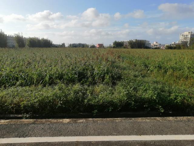 桃園觀音農地-6