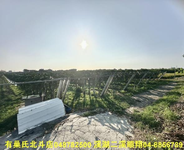 彰化二林農地-2