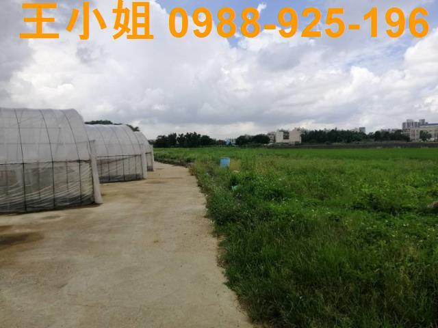 桃園桃園區農地-4