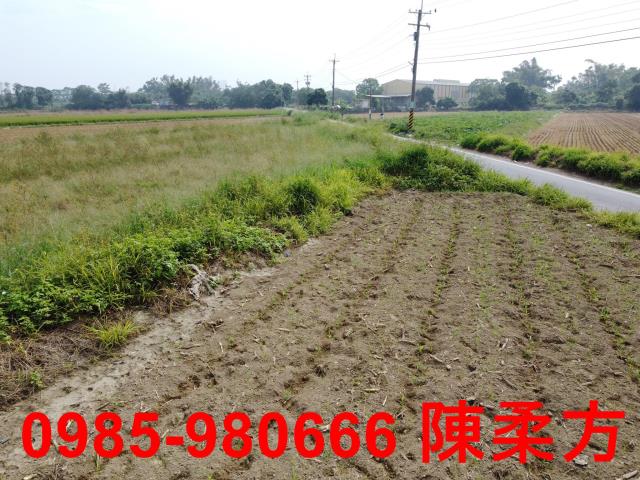 嘉義鹿草農地-1