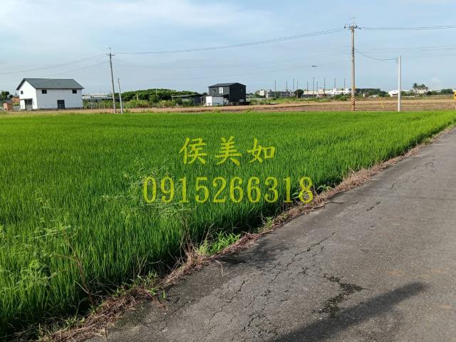 嘉義農地-1
