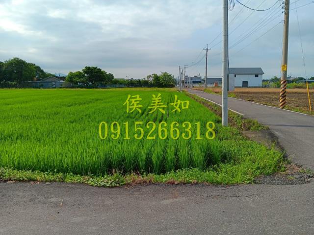 嘉義農地-2