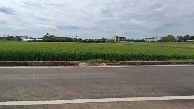 楊梅農地-12