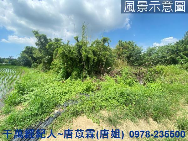 竹東農地-1