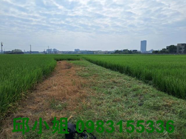 嘉義農地-1