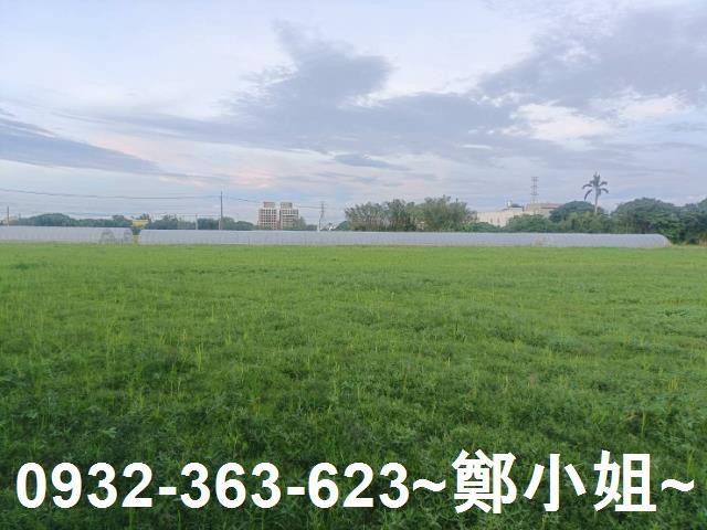 桃園八德農地-1