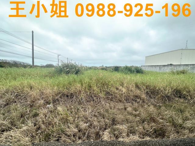 觀音農地-5