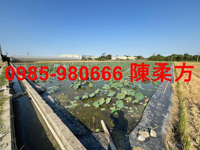 嘉義民雄農地-4