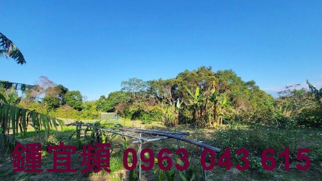 苗栗農地-4
