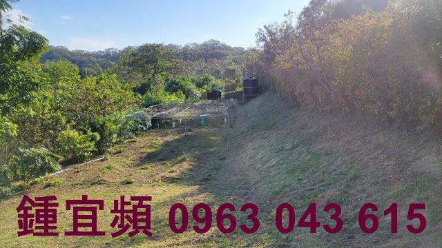 苗栗農地-6