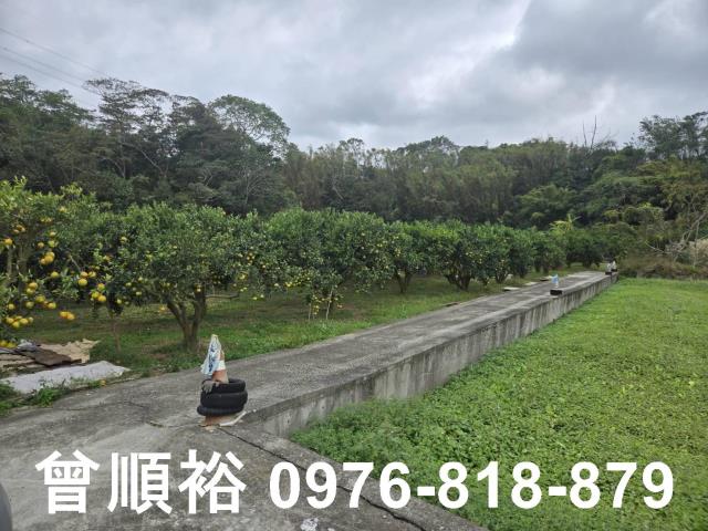 新竹峨眉農地-1