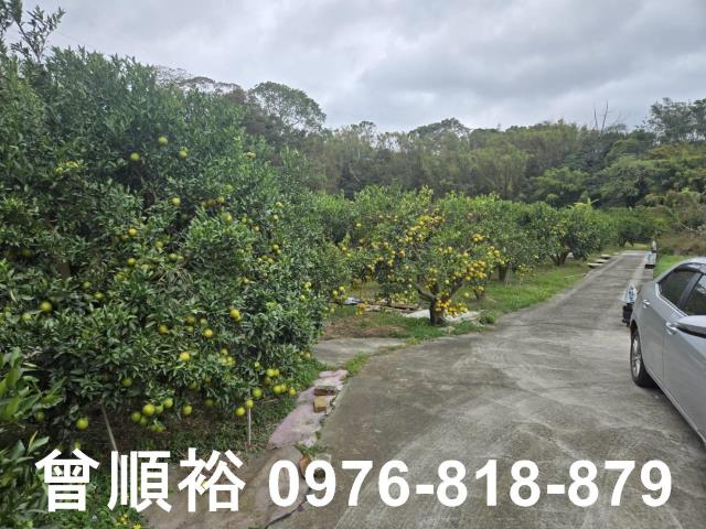 新竹峨眉農地-7
