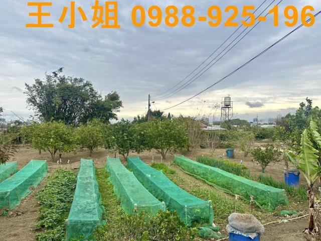 桃園農地-11