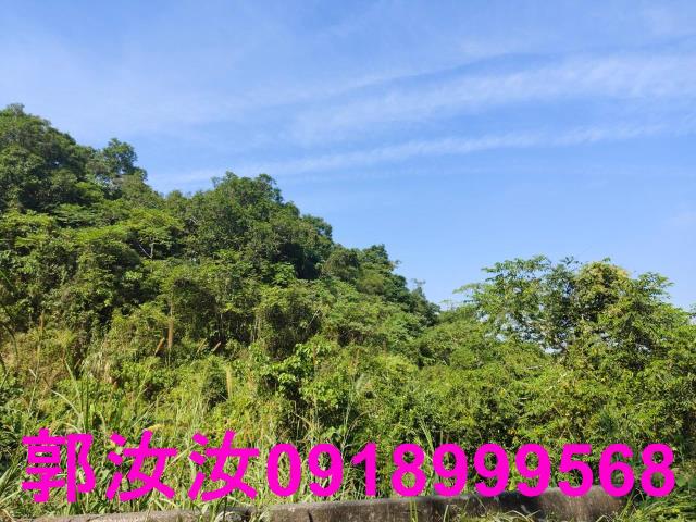 台南白河農地-12