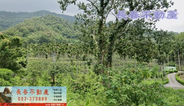 苗栗農地-2