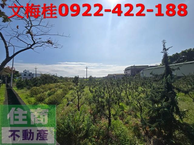 宜蘭頭城農地-2