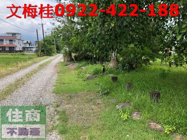 宜蘭宜蘭市農地-9