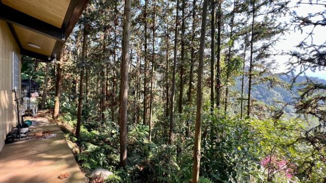 新竹北埔山坡地-6