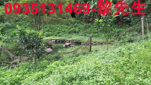 苗栗三灣農地-8