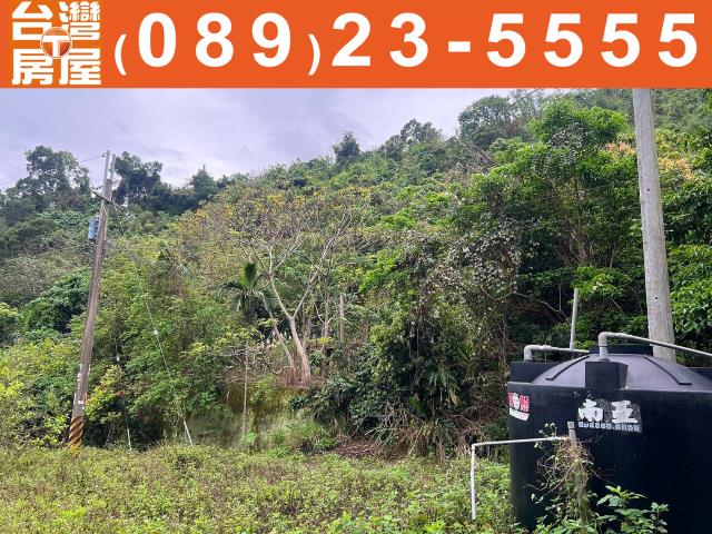 台東台東市農地-5