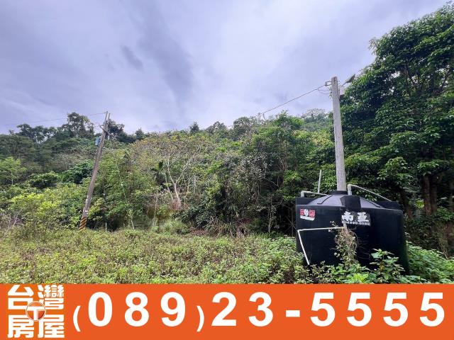 台東台東市農地-6