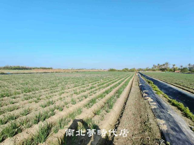 安南農地-4