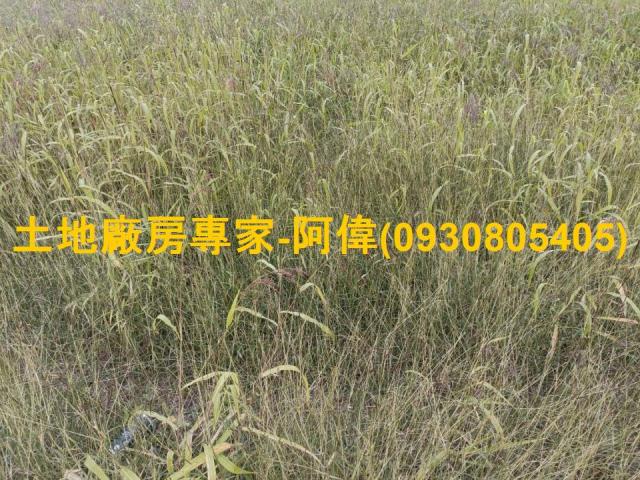 高雄農地-1