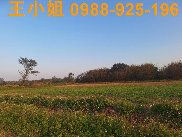 桃園觀音農地-11
