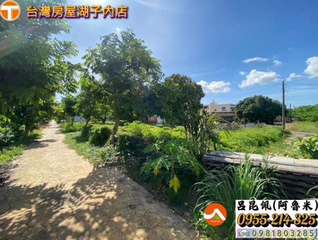 嘉義水上建地-8