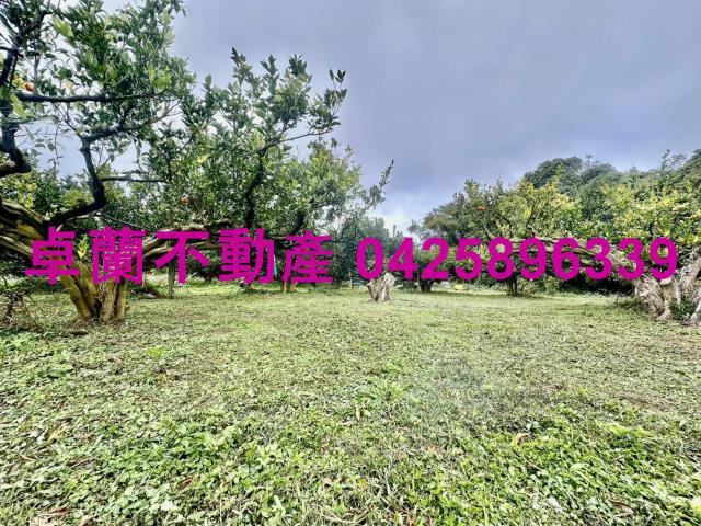 苗栗卓蘭農地-8
