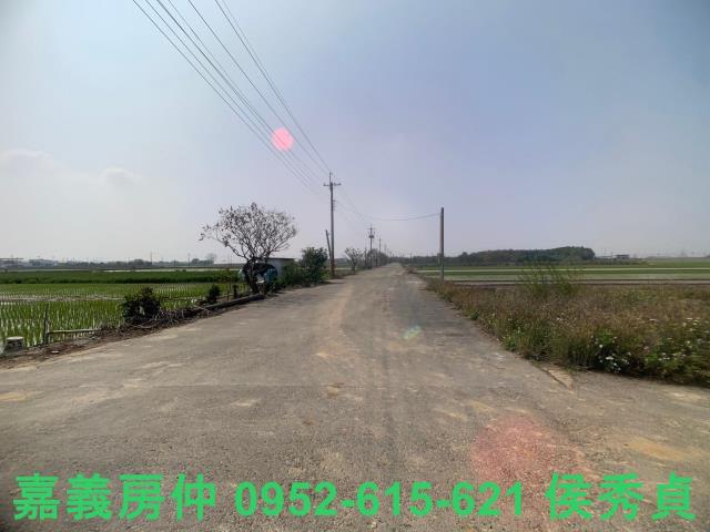 民雄農地-4