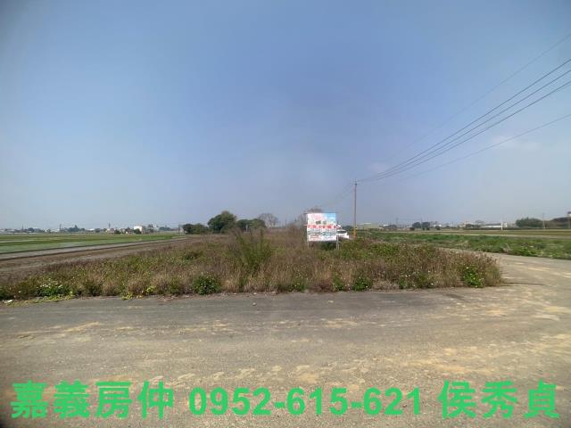 民雄農地-7