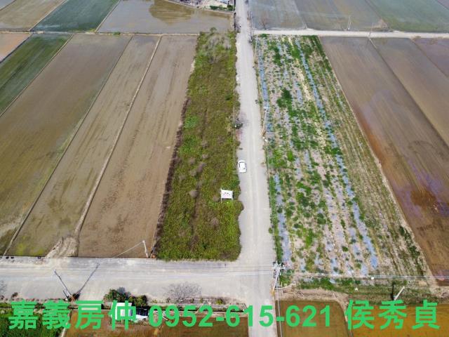 民雄農地-1