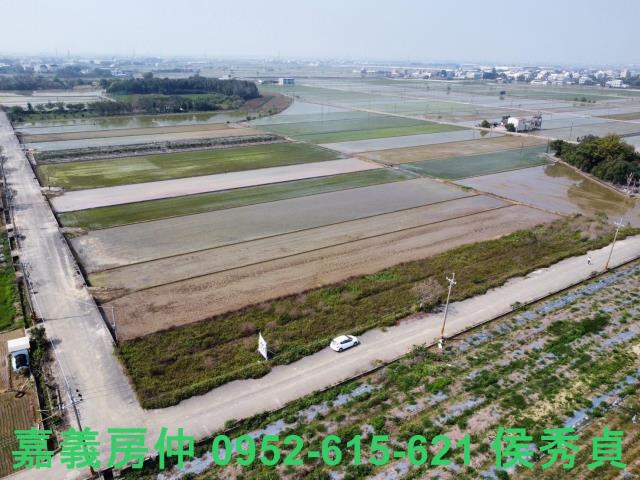 民雄農地-2