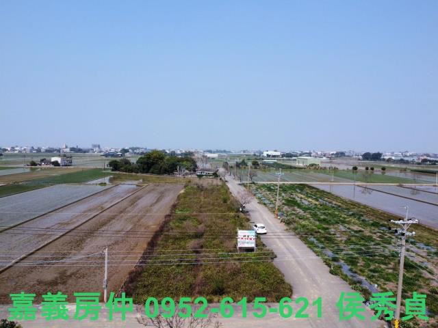 民雄農地-9