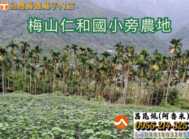 嘉義農地-1