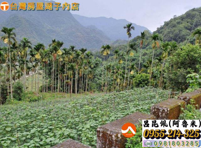 嘉義農地-2