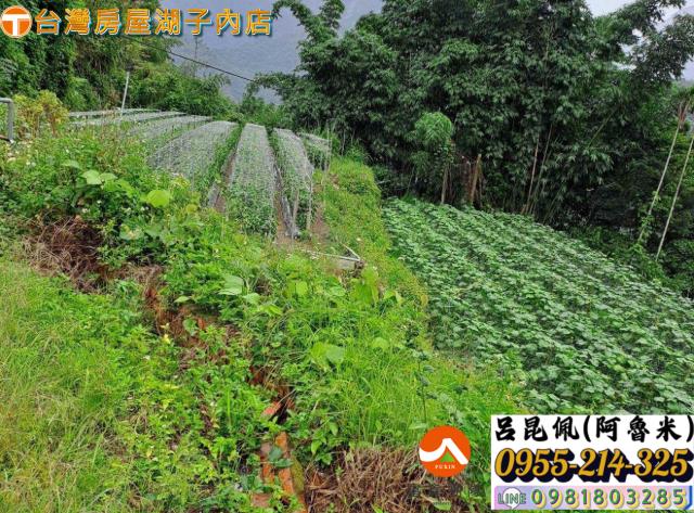 嘉義農地-3