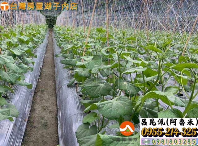 嘉義農地-4
