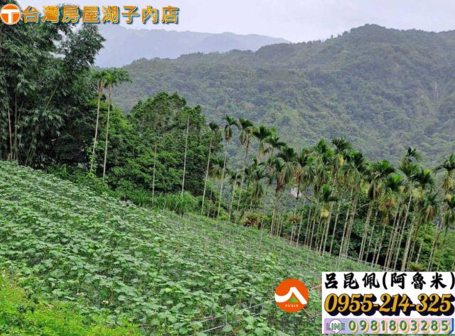 嘉義農地-6