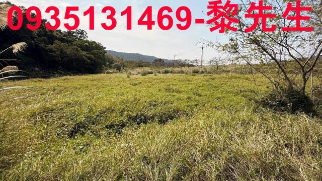 新竹新埔農地-11