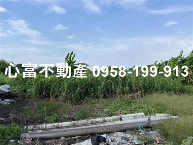 高雄彌陀農地-1