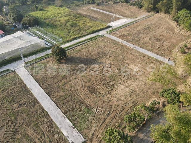 台南農地-6