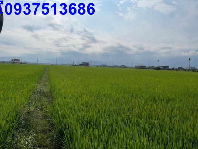 宜蘭壯圍農地-4