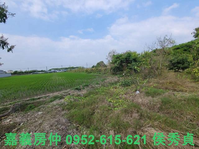 西區建地-4