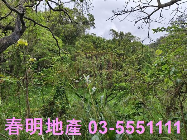 新竹峨眉農地-10