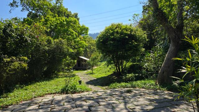 北埔農地-8