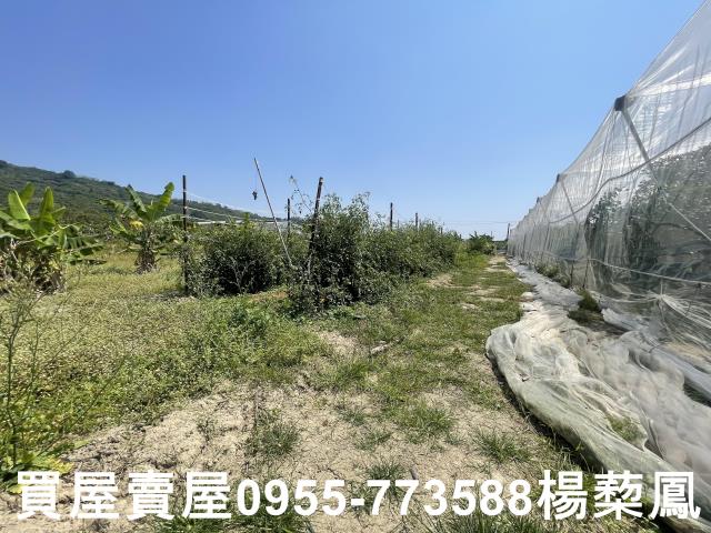 岡山農地-9