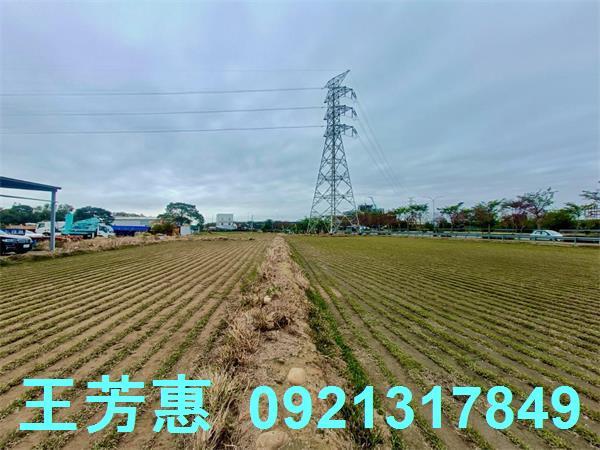 台中后里農地-12